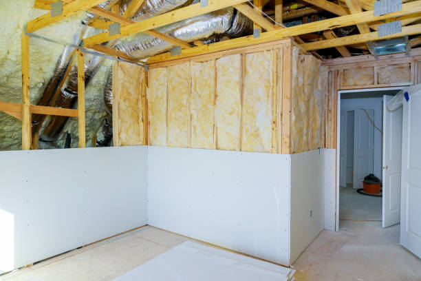 Best Fiberglass Insulation  in Roanoke, IL