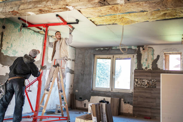 Best Insulation Contractors for Homes  in Roanoke, IL