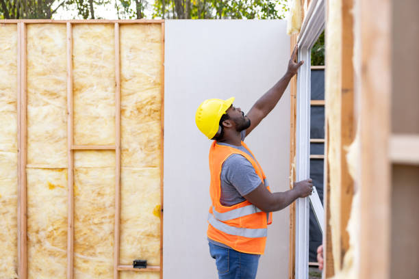 Best Attic Insulation Installation  in Roanoke, IL