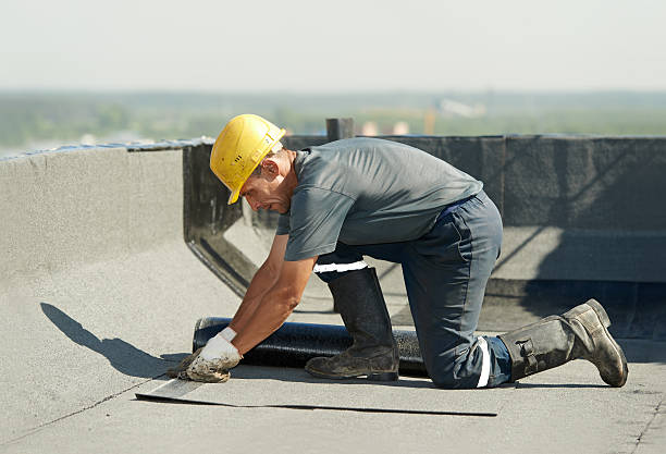 Best Best Insulation Companies  in Roanoke, IL
