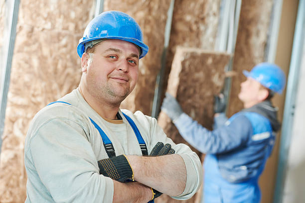 Best Insulation Replacement Services  in Roanoke, IL