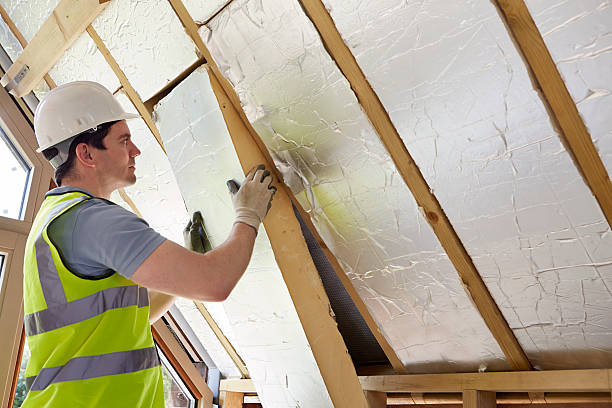 Best Professional Insulation Contractor  in Roanoke, IL