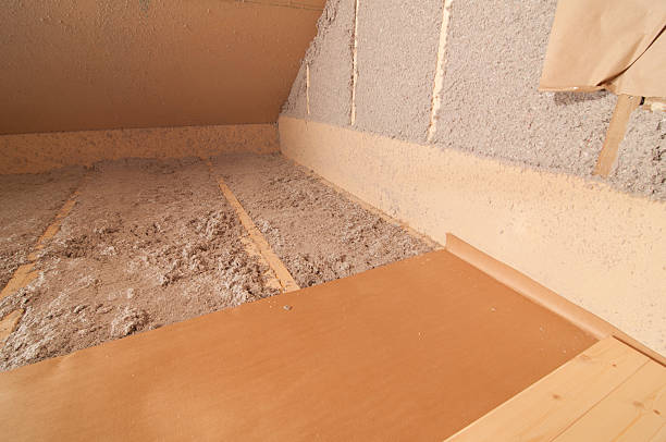 Best Home Insulation Services  in Roanoke, IL