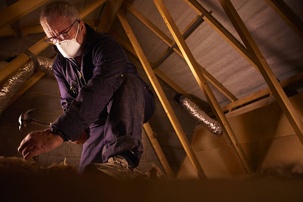 Best Spray Foam Insulation  in Roanoke, IL